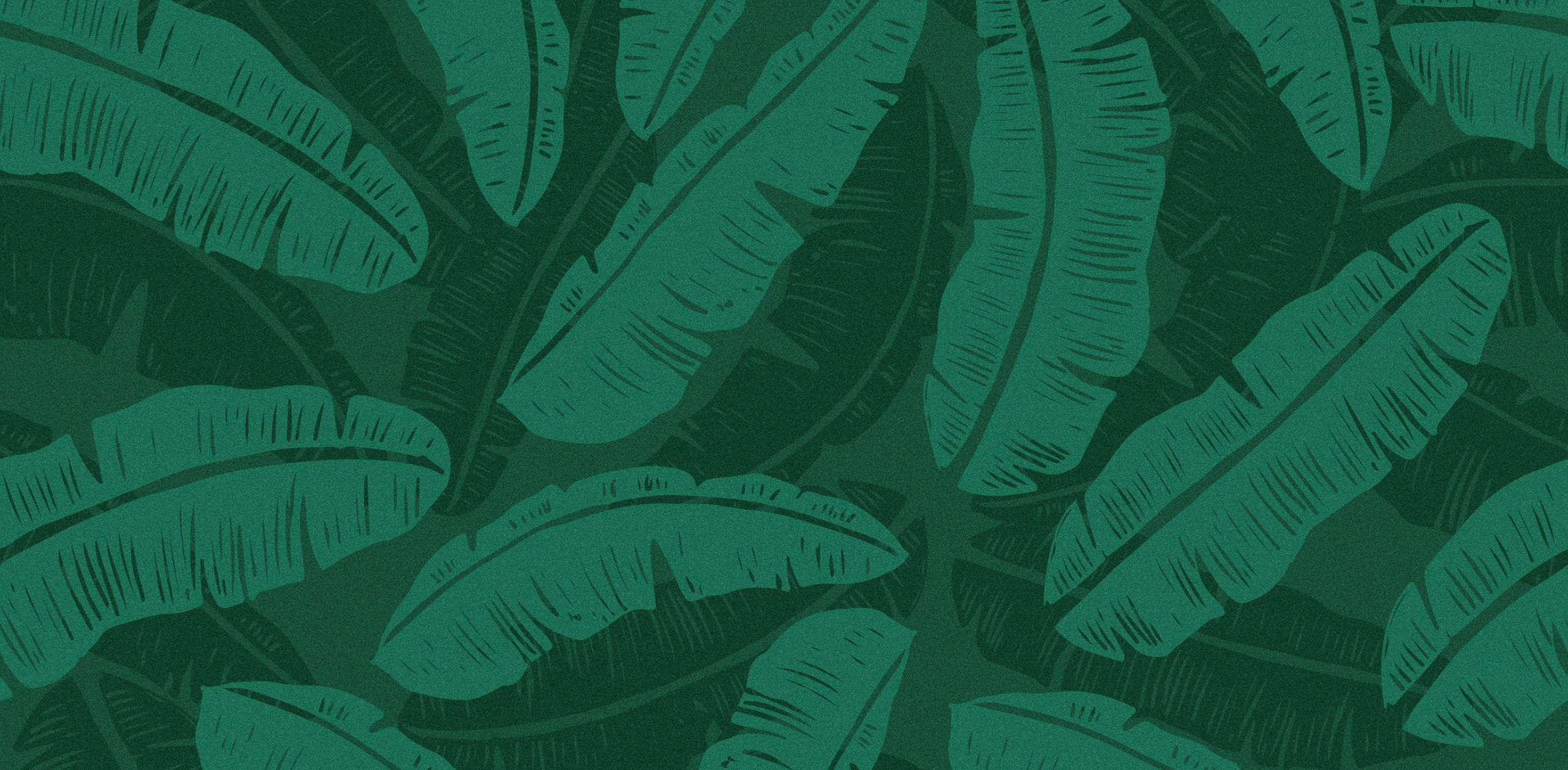 Plantain Chips: A Healthy Snack With Hidden Benefits