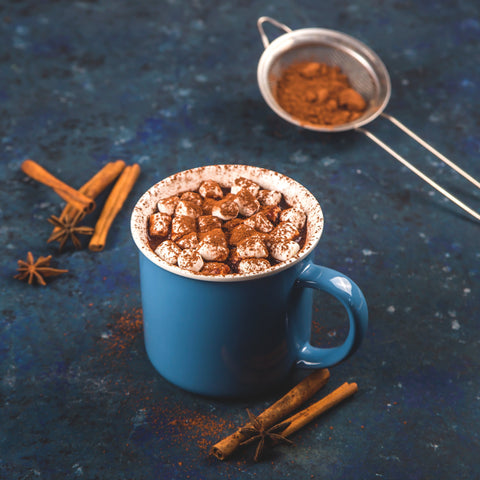 Cinnamon Spiced Hot Chocolate