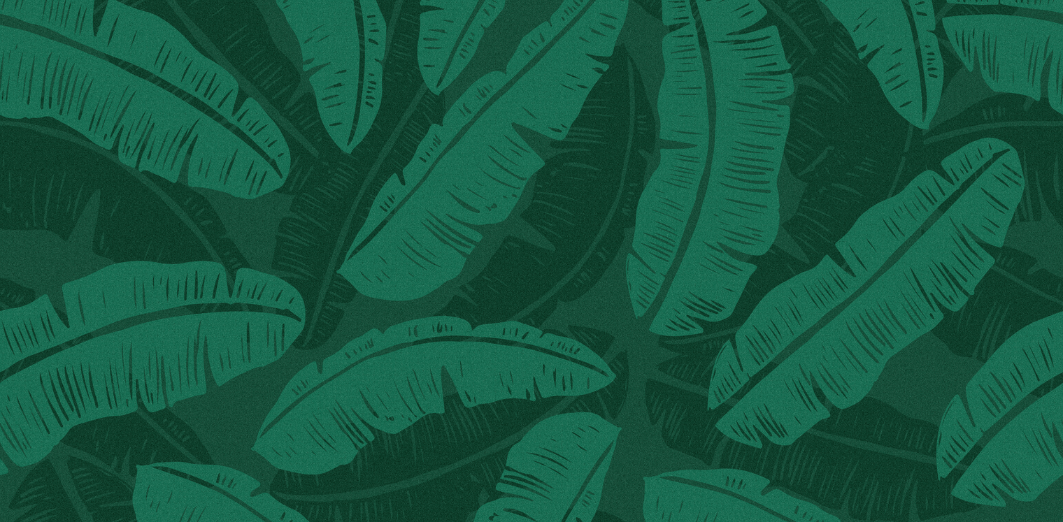 Plantain Chips: A Healthy Snack With Hidden Benefits