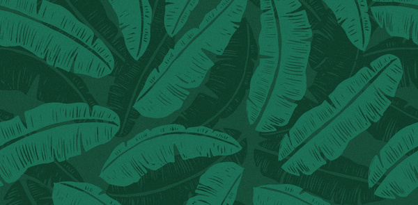 Coconut Milk Powder: A Superfood Hack You Need to Know