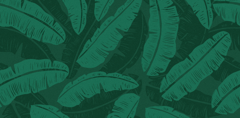 Cardamom in the Kitchen: Recipes, Storage, and Health Benefits